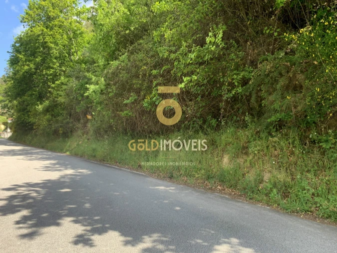 Terreno Agricola ou Rústico para Venda em Souselo Foto 1