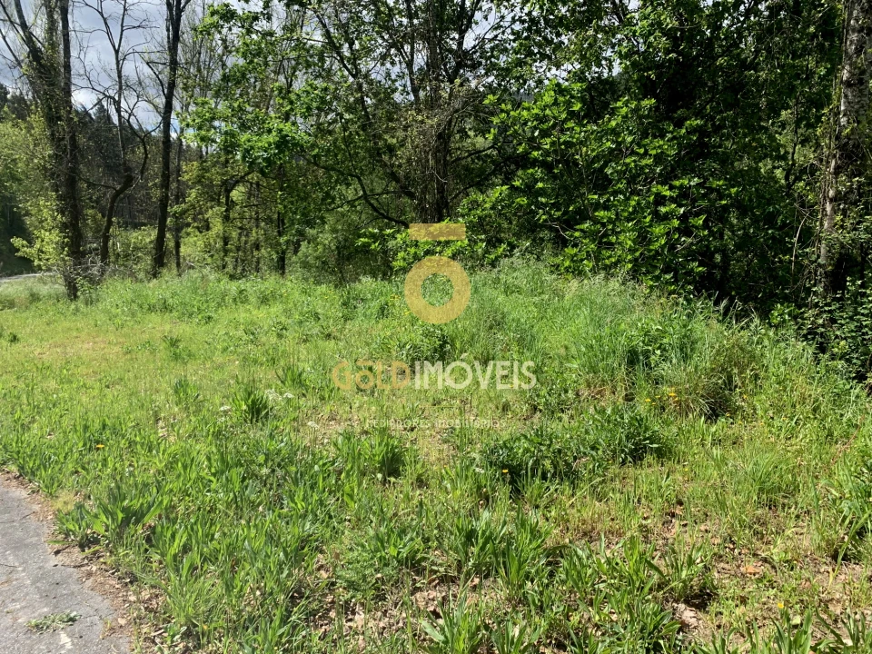Terreno Agricola ou Rústico para Venda em Souselo Foto 9