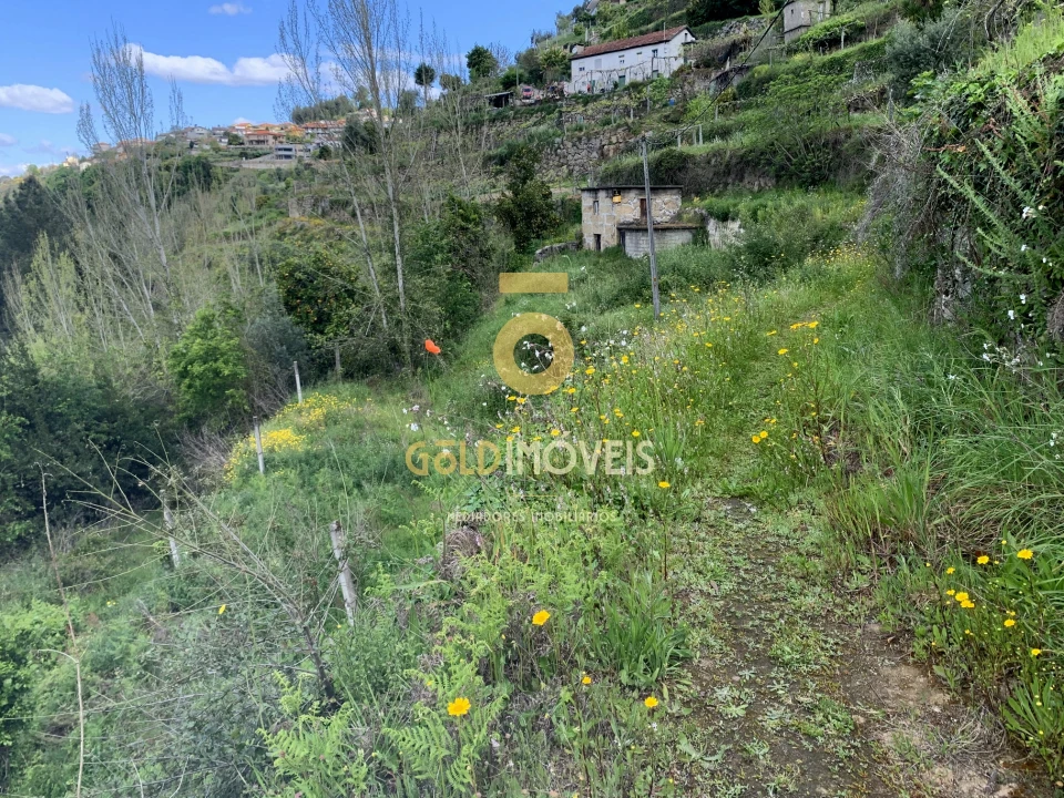 Terreno Agricola ou Rústico para Venda em Souselo Foto 6