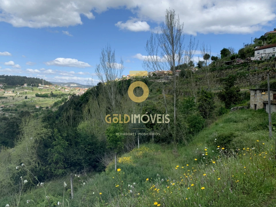 Terreno Agricola ou Rústico para Venda em Souselo Foto 5