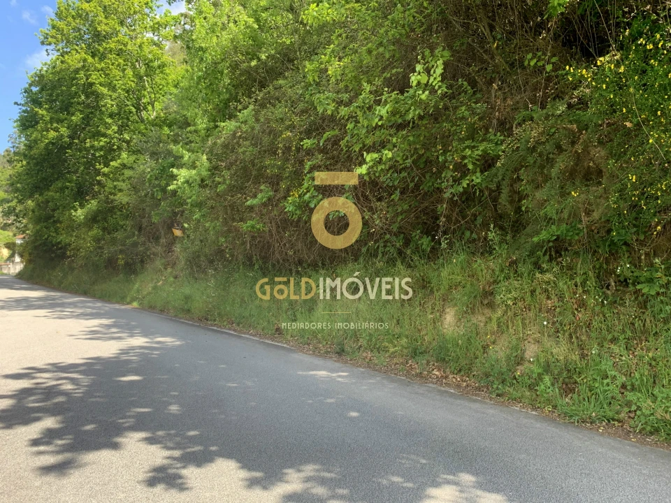 Terreno Agricola ou Rústico para Venda em Souselo Foto 1