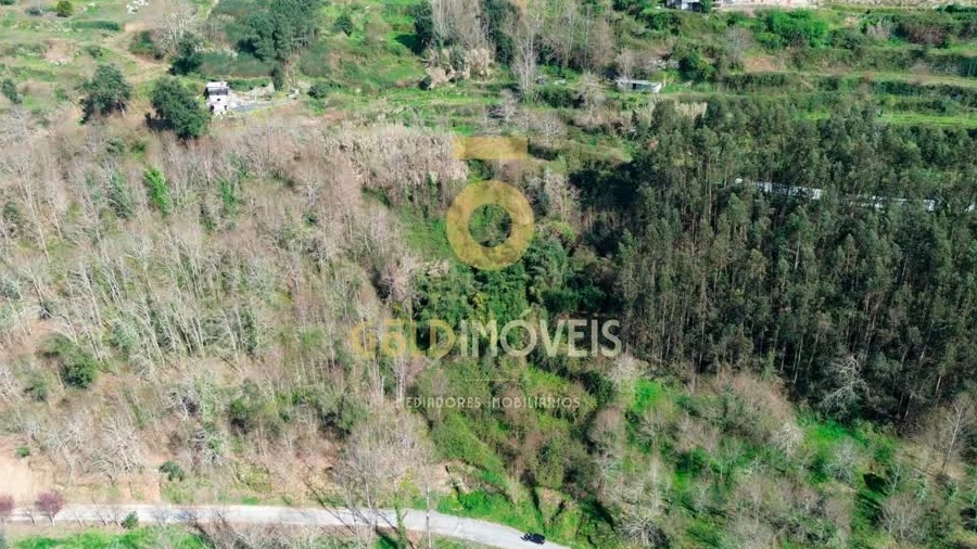 Terreno Agricola ou Rústico para Venda em Souselo
