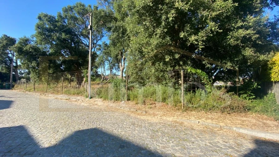 Terreno para Venda em Arvore Foto 1