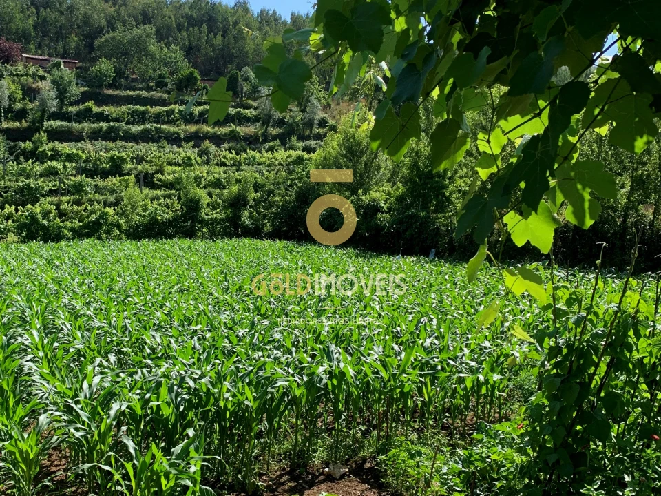 Terreno para Venda em Santa Maria de Sardoura Foto 1