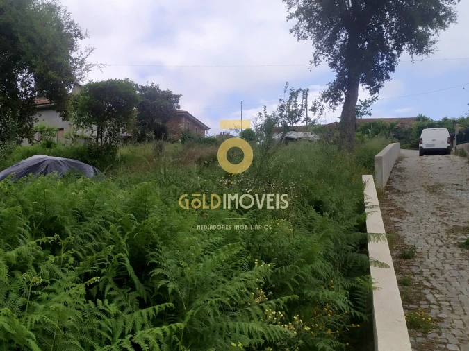 Terreno para Venda em Santa Maria de Sardoura Foto 2