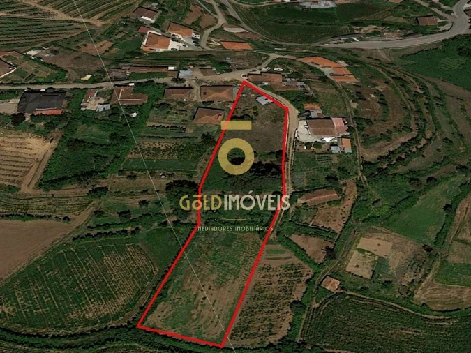 Terreno para Venda em Santa Maria de Sardoura Foto 12