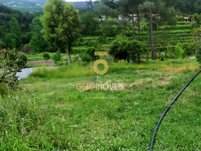 Terreno para Venda em Santa Maria de Sardoura Foto 6