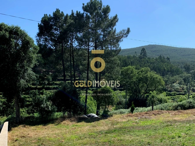 Terreno para Venda em Santa Maria de Sardoura Foto 10