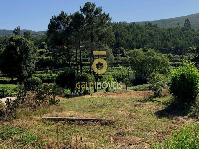 Terreno para Venda em Santa Maria de Sardoura Foto 11