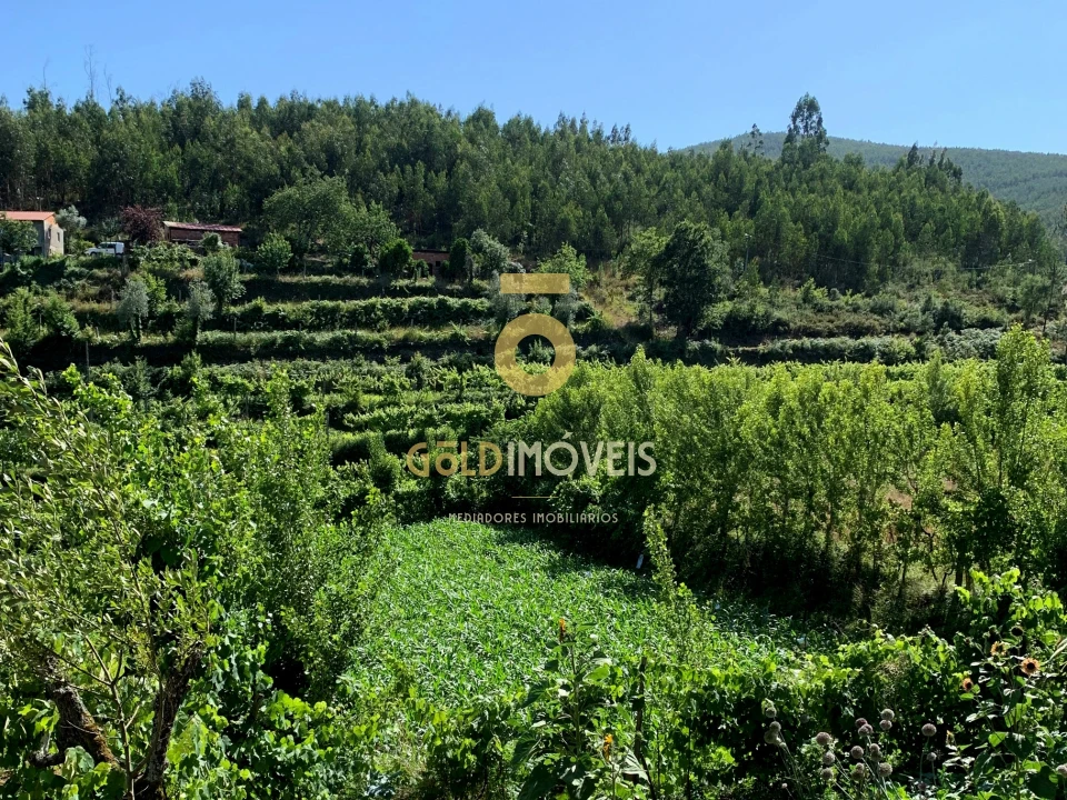 Terreno para Venda em Santa Maria de Sardoura Foto 9