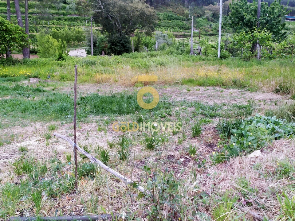 Terreno para Venda em Santa Maria de Sardoura Foto 5