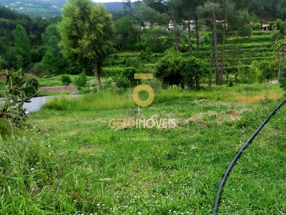 Terreno para Venda em Santa Maria de Sardoura Foto 6