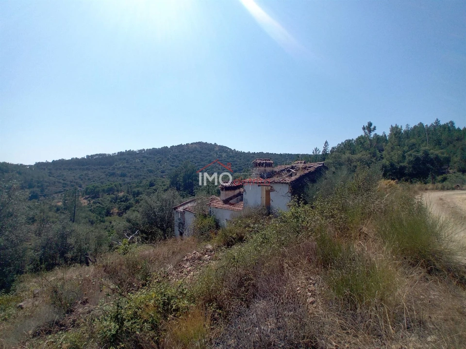 Quinta T0 para Venda em Alegrete Foto 3
