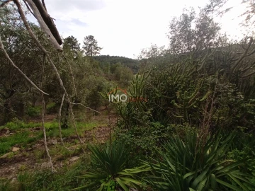 Quinta T0 para Venda em Alegrete