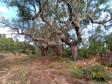 Quinta T0 para Venda em Alegrete