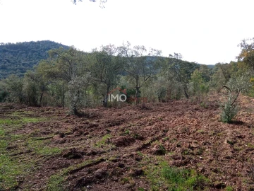 Quinta T0 para Venda em Alegrete