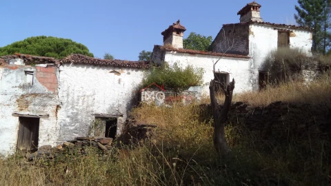 Quinta T0 para Venda em Alegrete