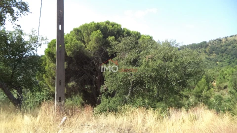 Quinta T0 para Venda em Alegrete