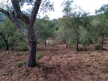 Quinta T0 para Venda em Alegrete