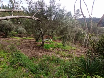 Quinta T0 para Venda em Alegrete