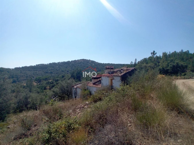 Quinta T0 para Venda em Alegrete Foto 3