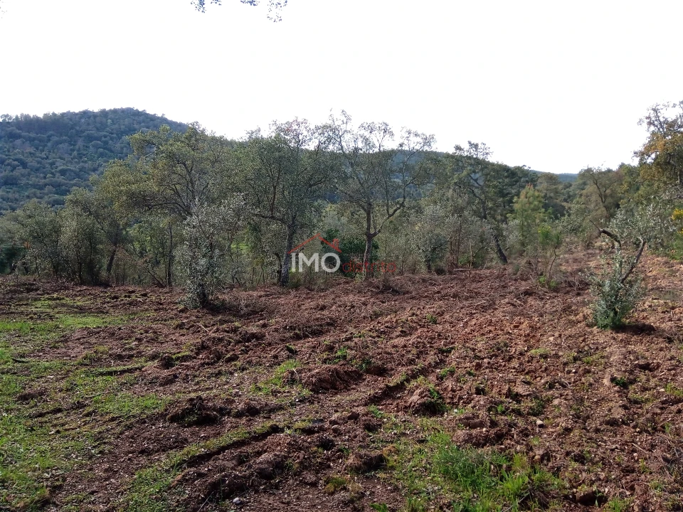 Quinta T0 para Venda em Alegrete Foto 12