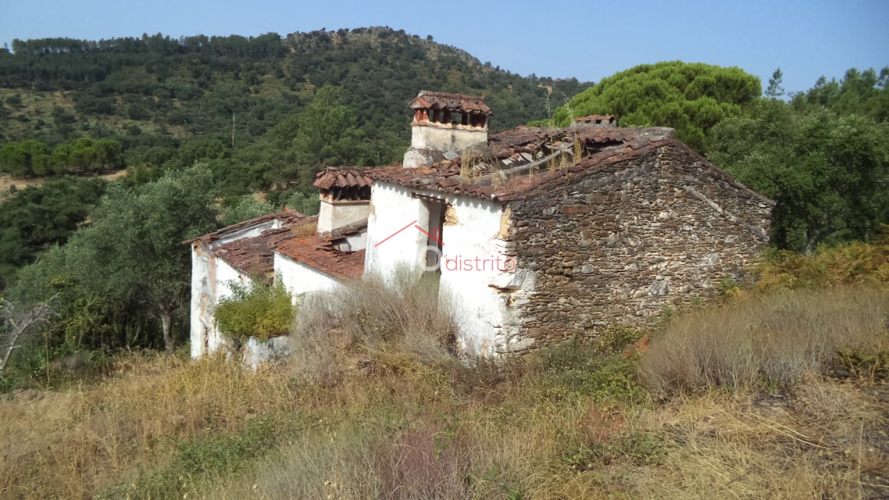 Quinta T0 para Venda em Alegrete Foto 1