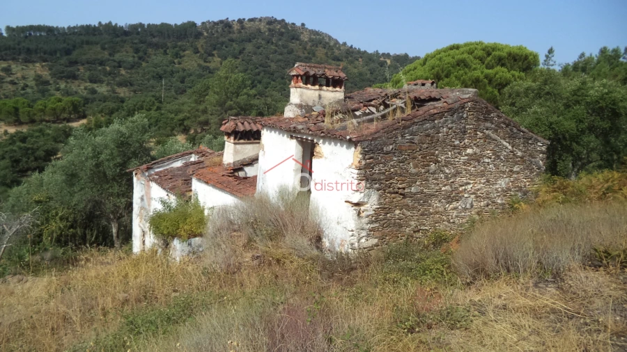 Quinta T0 para Venda em Alegrete