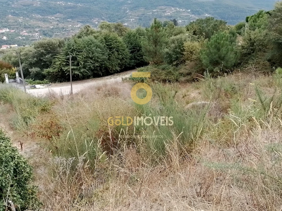 Terreno para Venda em Sobrado e Bairros Foto 1