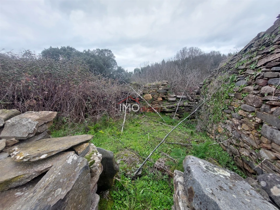 Quinta T0 para Venda em Espírito Santo, Nossa Senhora da Graça e São Simão Foto 15