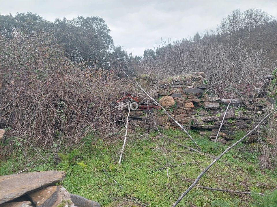 Quinta T0 para Venda em Espírito Santo, Nossa Senhora da Graça e São Simão Foto 16