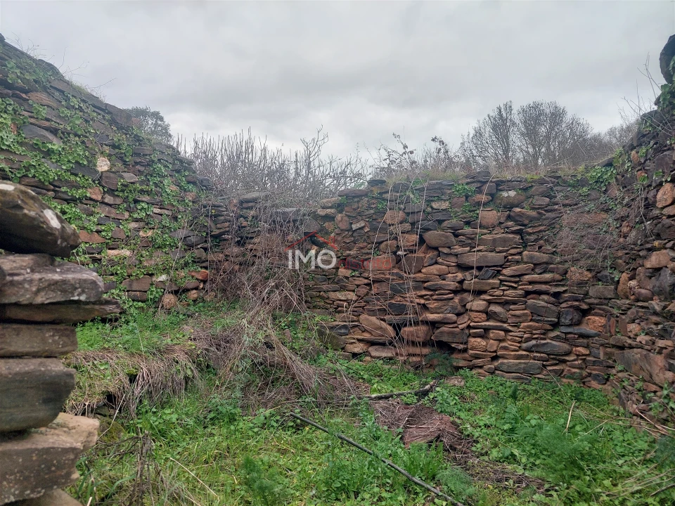 Quinta T0 para Venda em Espírito Santo, Nossa Senhora da Graça e São Simão Foto 17