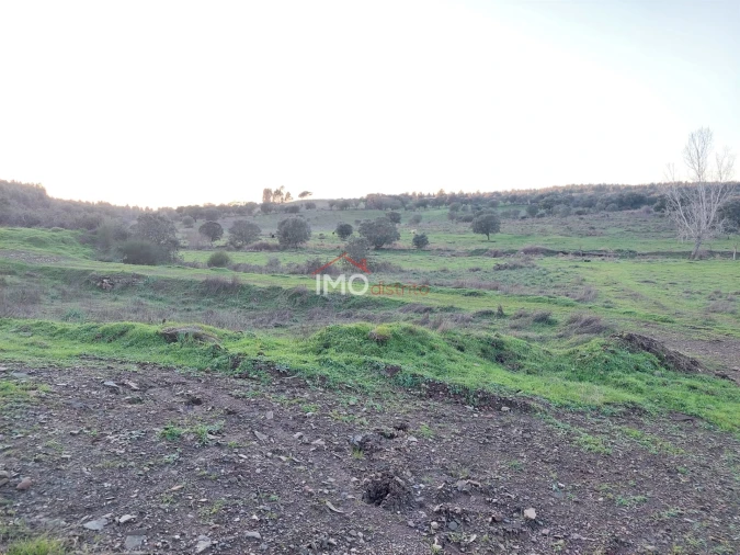 Quinta T0 para Venda em Espírito Santo, Nossa Senhora da Graça e São Simão Foto 6