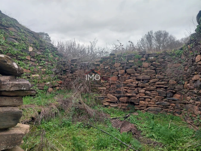 Quinta T0 para Venda em Espírito Santo, Nossa Senhora da Graça e São Simão Foto 17