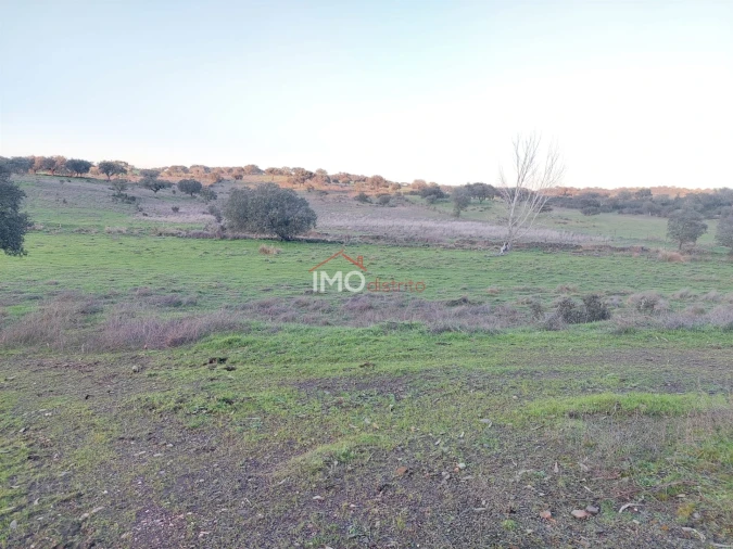 Quinta T0 para Venda em Espírito Santo, Nossa Senhora da Graça e São Simão Foto 7