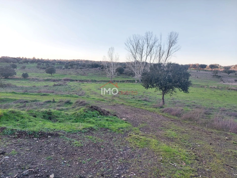 Quinta T0 para Venda em Espírito Santo, Nossa Senhora da Graça e São Simão Foto 2