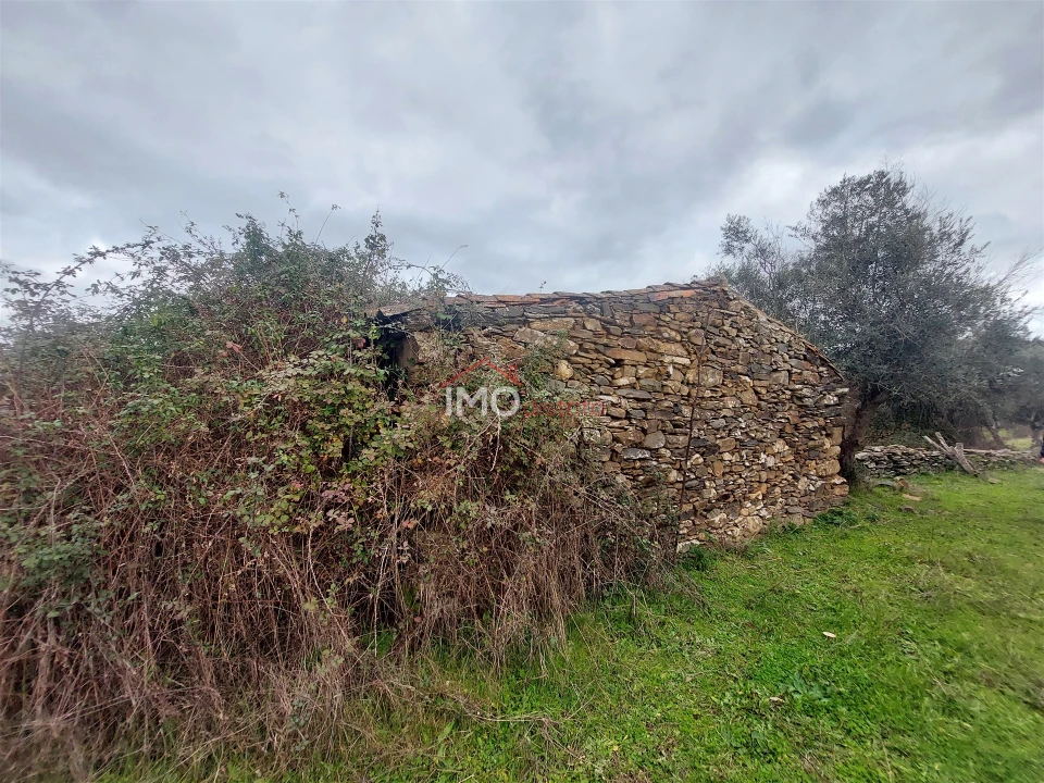 Quinta T0 para Venda em Espírito Santo, Nossa Senhora da Graça e São Simão Foto 13