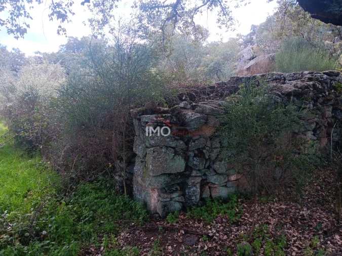 Terreno Agricola ou Rústico para Venda em Beirã Foto 8