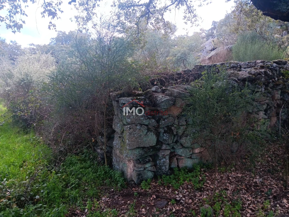 Terreno Agricola ou Rústico para Venda em Beirã Foto 7