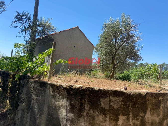 Quinta T1 para Venda em Silgueiros Foto 3