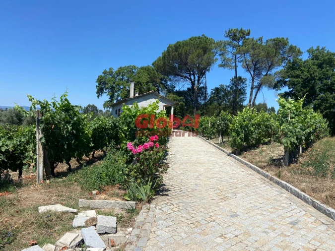 Quinta T1 para Venda em Silgueiros Foto 6