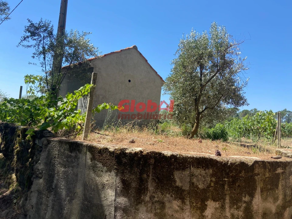 Quinta T1 para Venda em Silgueiros Foto 3