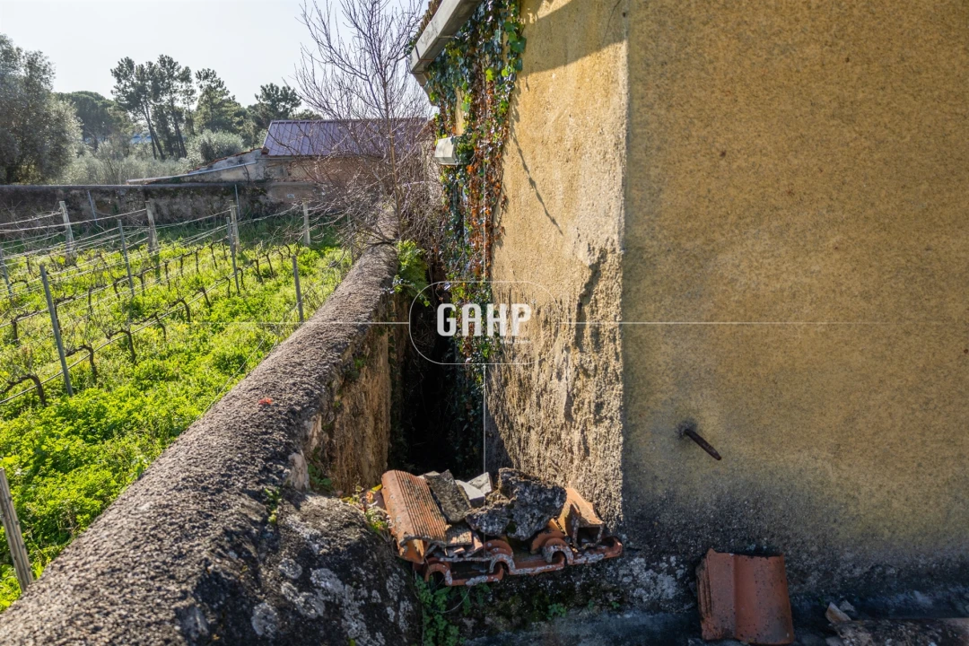 Moradia T0 para Venda em Cernache Foto 3