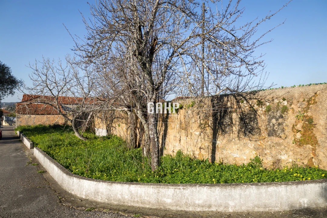 Moradia T0 para Venda em Cernache Foto 12