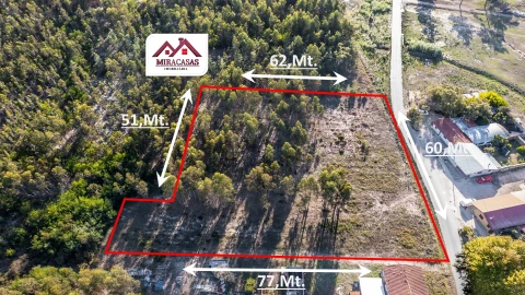 Terreno para Venda em Mira