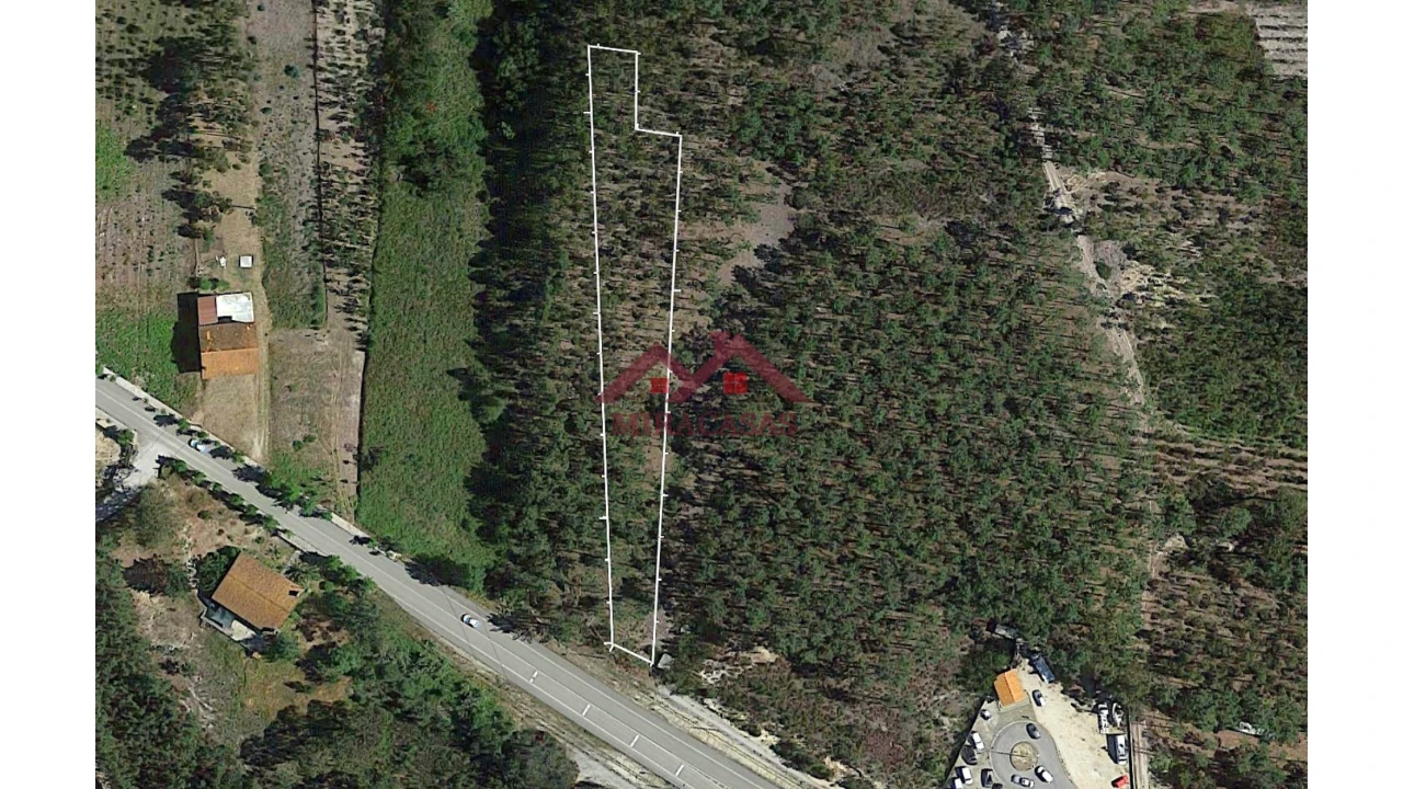 Terreno Agricola ou Rústico para Venda em Mira Foto 2