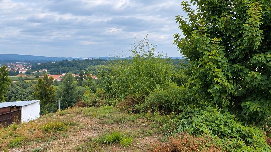 Terreno para Venda em Freamunde