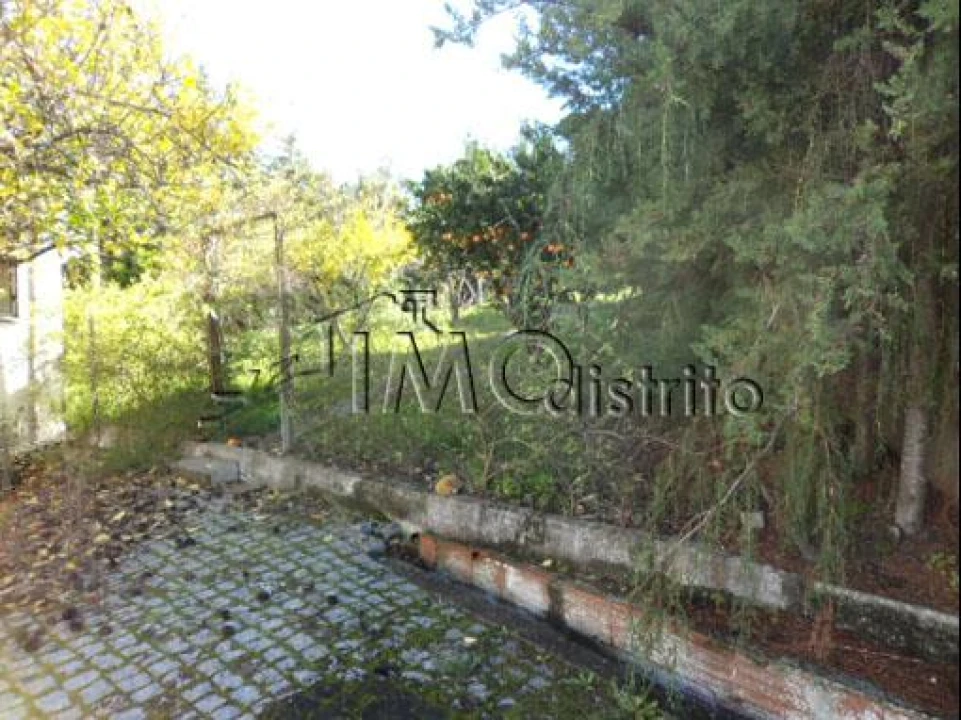 Armazém para Venda em Sé e São Lourenço Foto 14