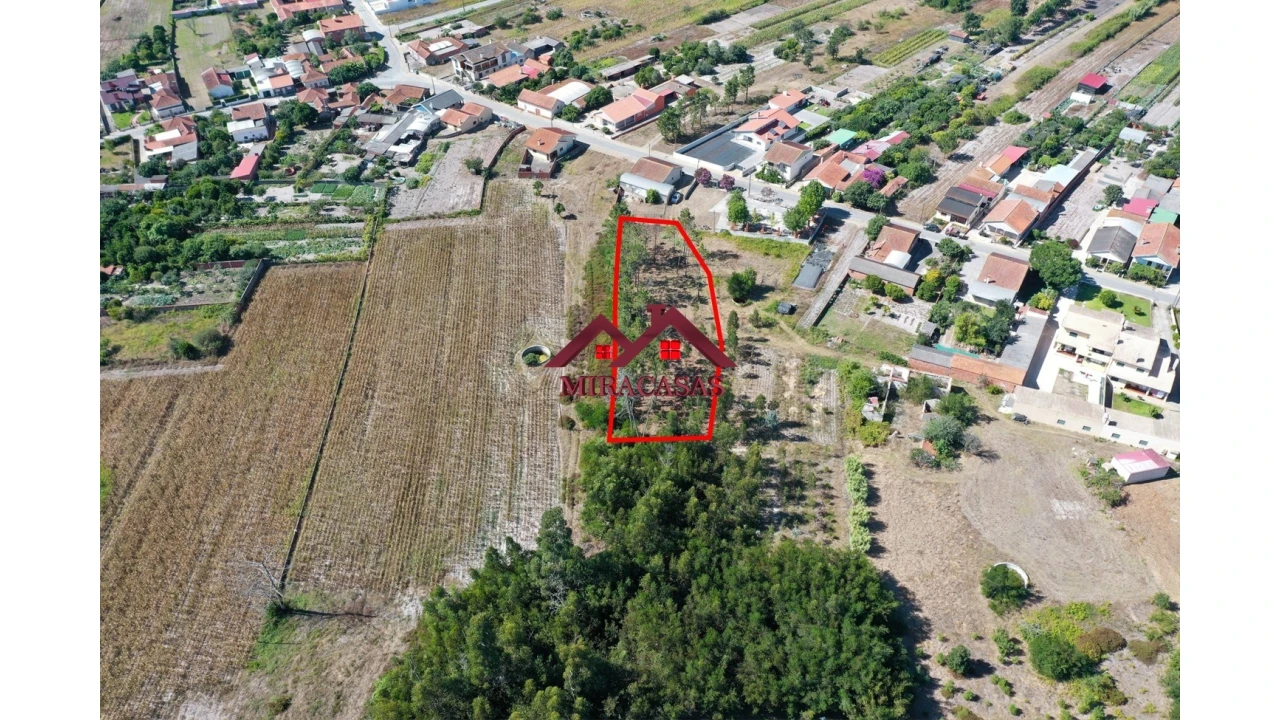 Terreno Agricola ou Rústico para Venda em Mira Foto 8