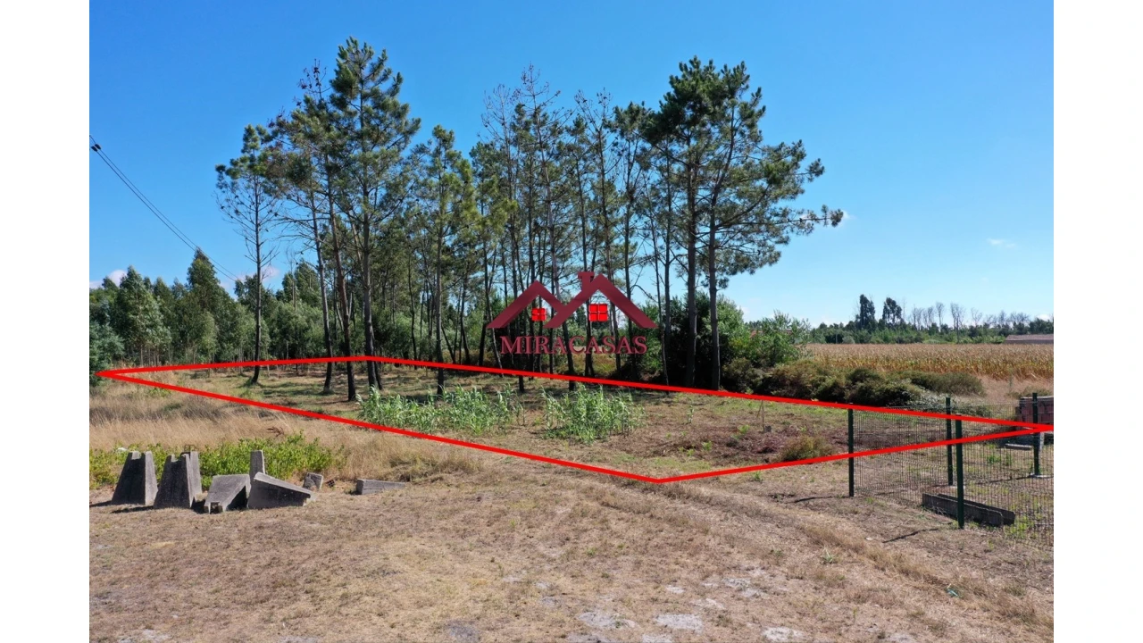 Terreno Agricola ou Rústico para Venda em Mira Foto 9
